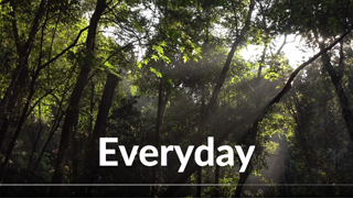 Video-Everyday